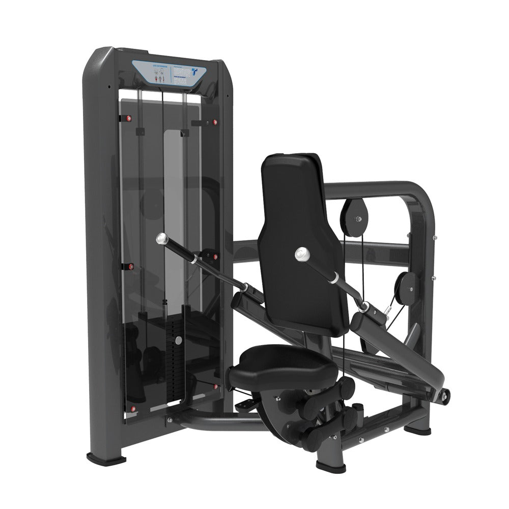 Triceps Dip Machine