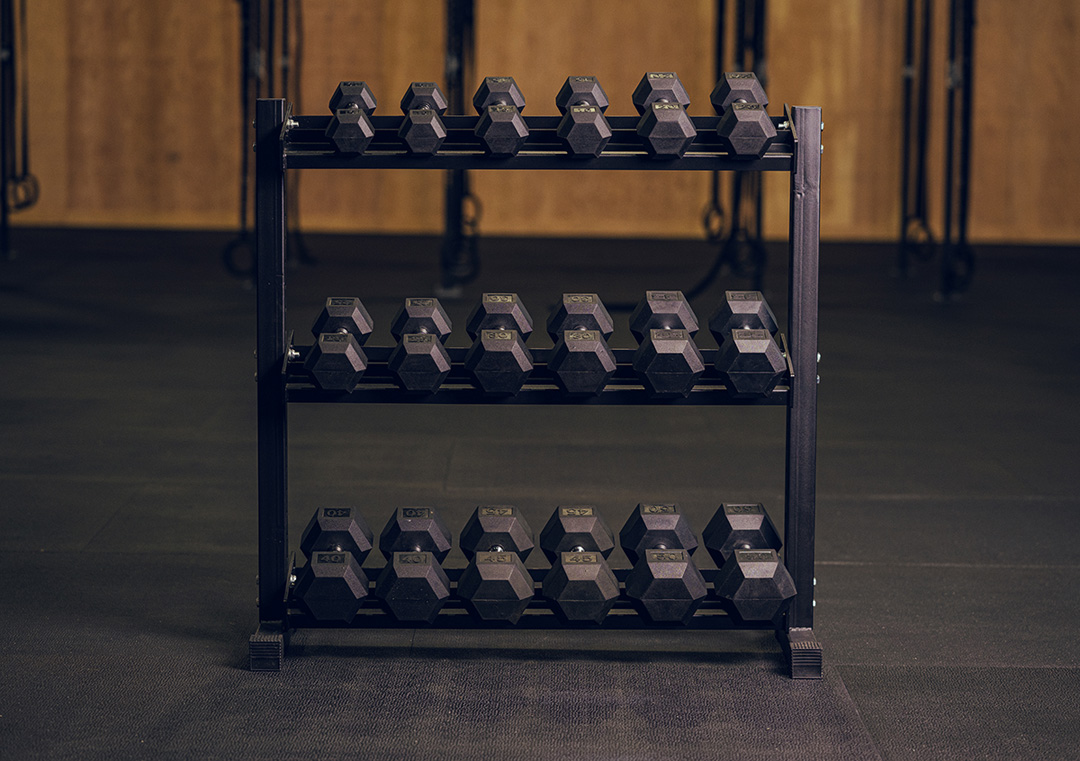 Dumbells Kit 550lbs avec support de rangement