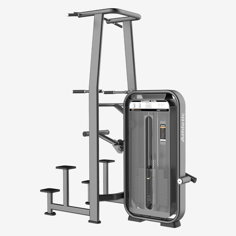 Dip & Chin Assist - Prestige Line