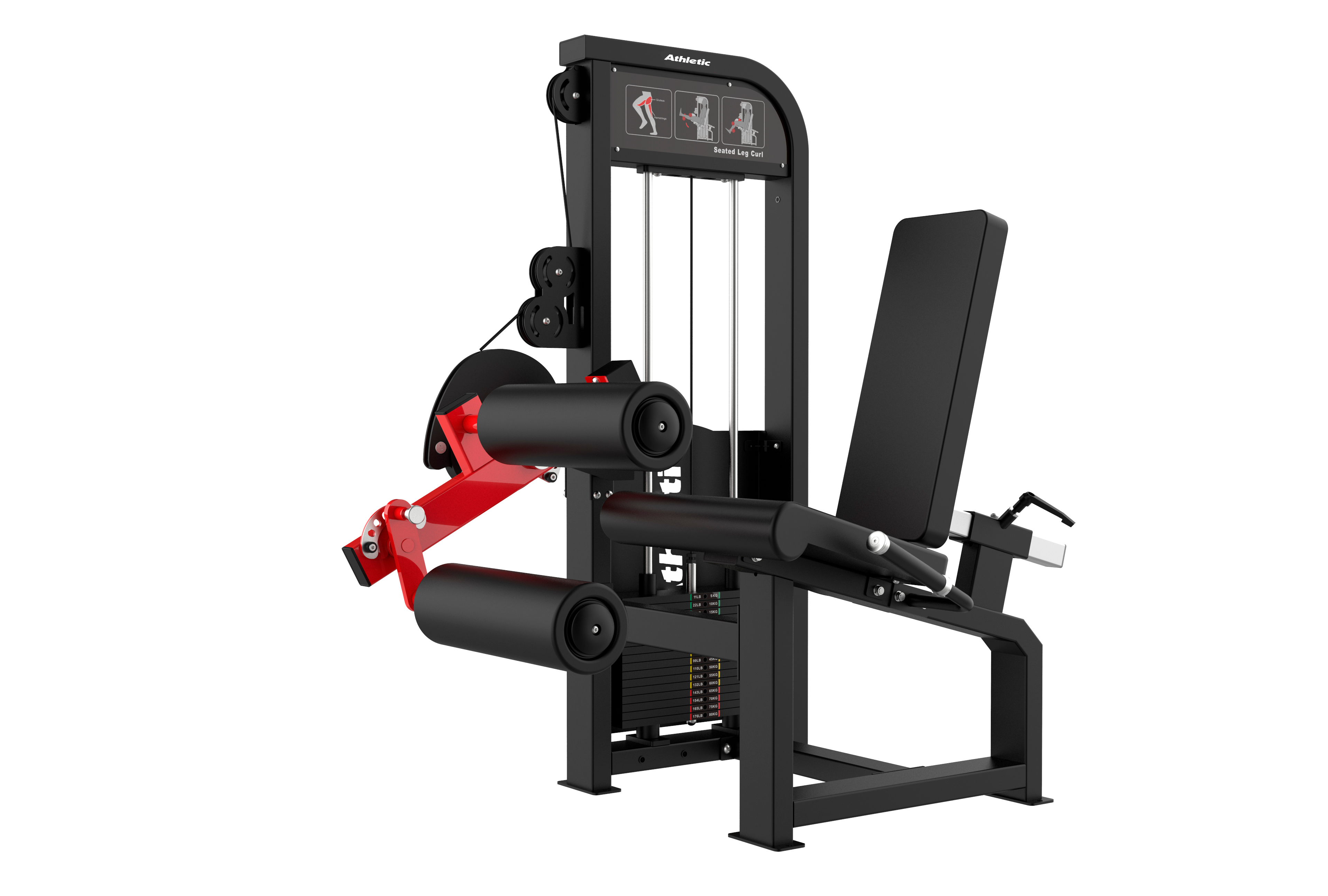 Dynamic Line Seated Leg Curl