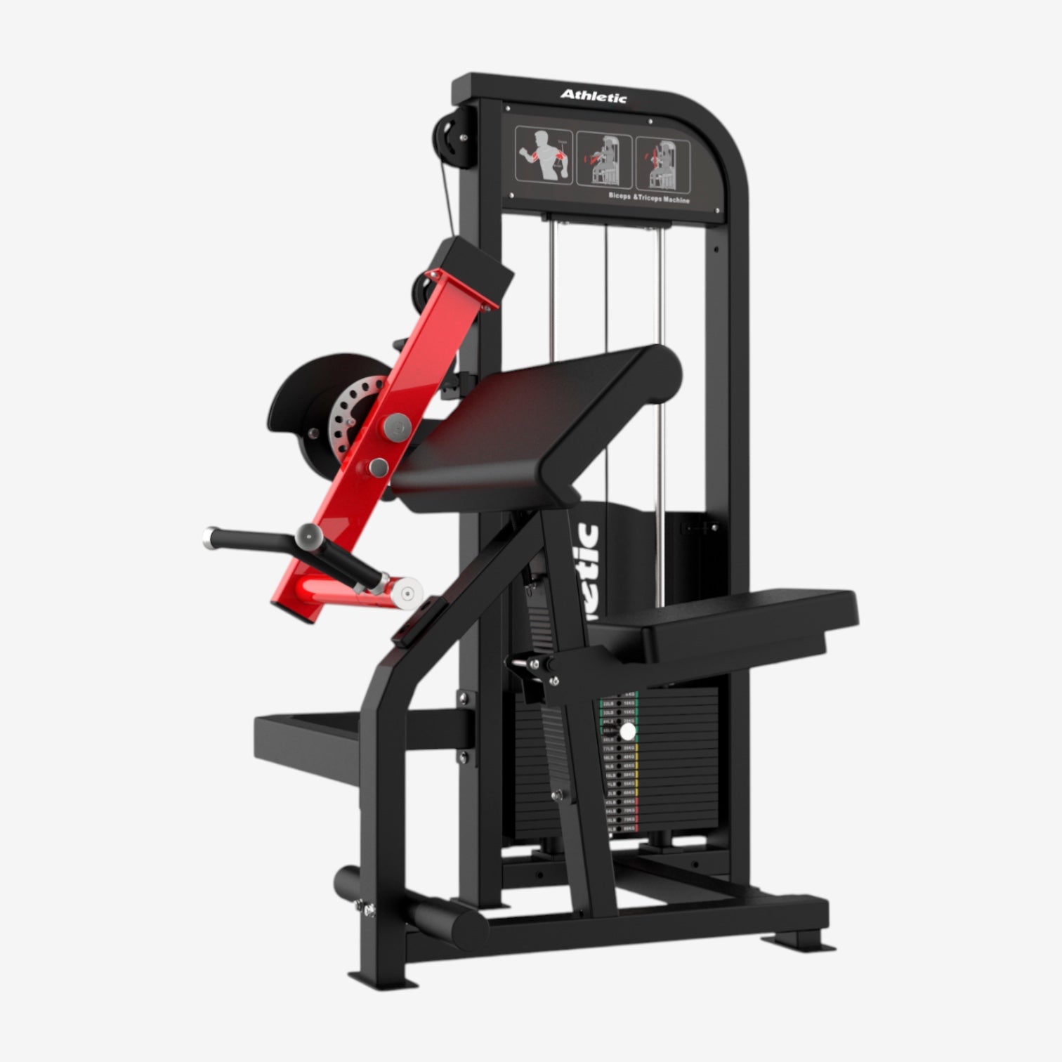 Biceps & Triceps Extension - Dynamic Line