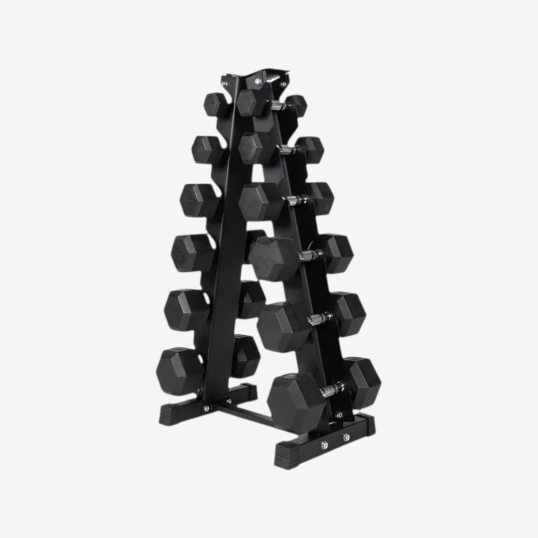 Ensemble haltères 5-30lbs avec support de rangement ( 210lbs )