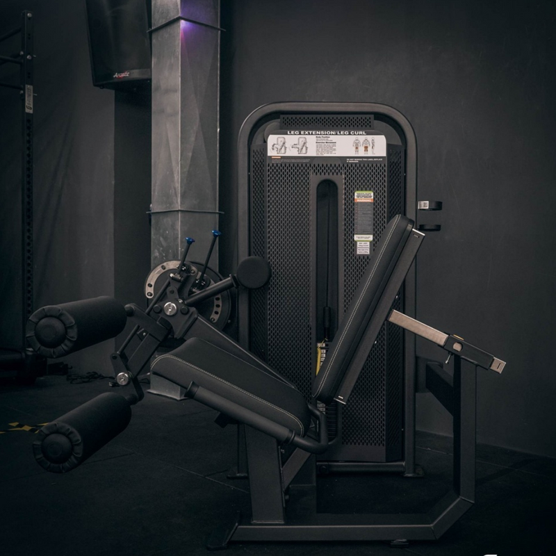 Prone Leg Curl - Prestige Line