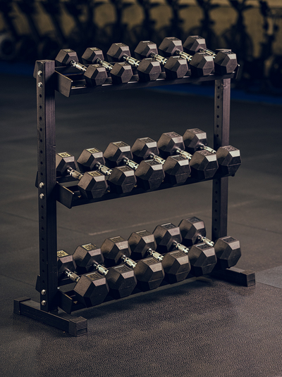 Dumbells Kit 550lbs avec support de rangement