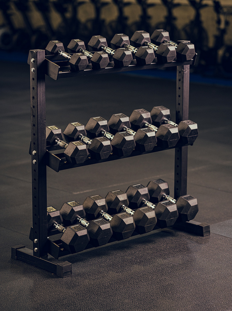 Dumbells Kit 550lbs avec support de rangement