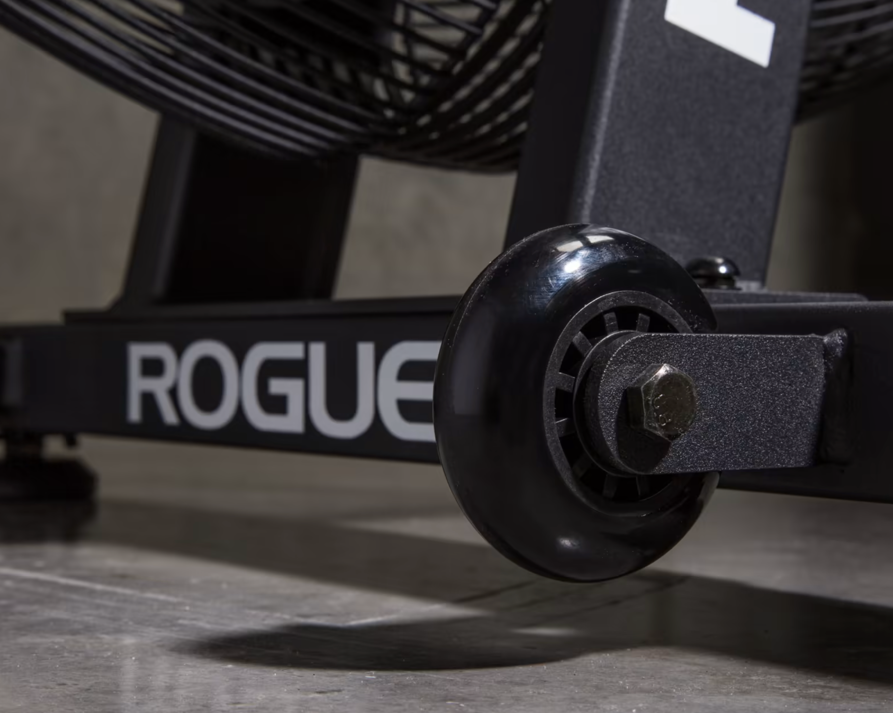 Rogue fitness fan bike sale